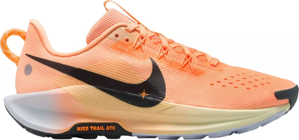 shoes Nike Pegasus Trail 5