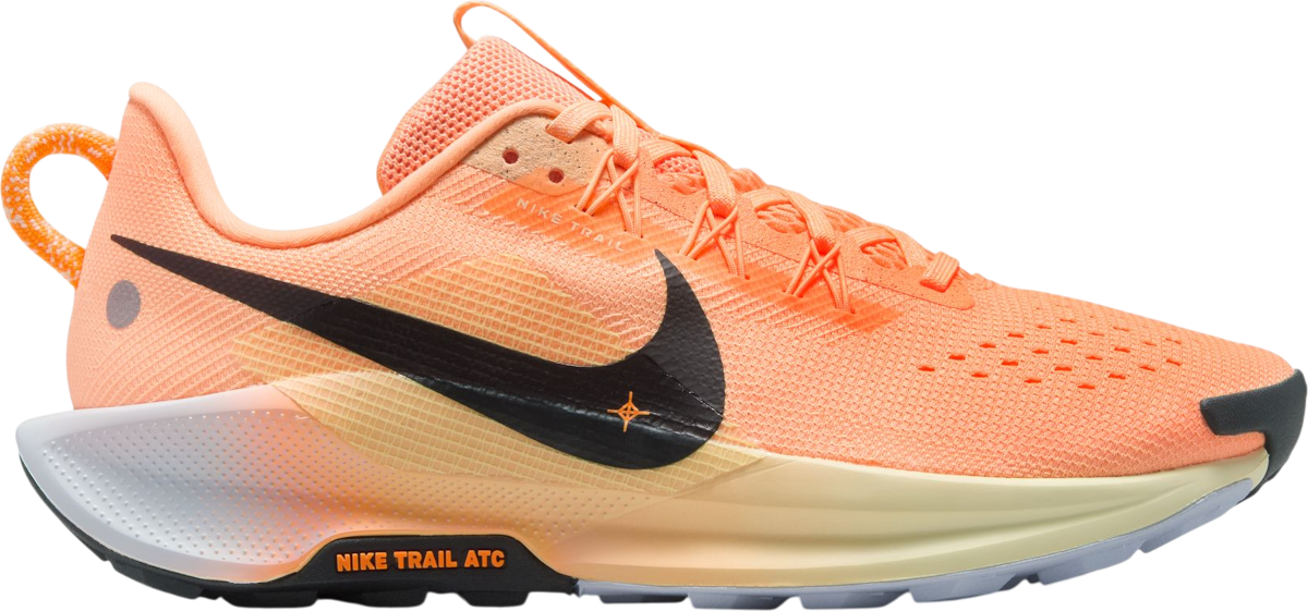 shoes Nike Pegasus Trail 5