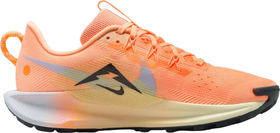 shoes Nike Pegasus Trail 5