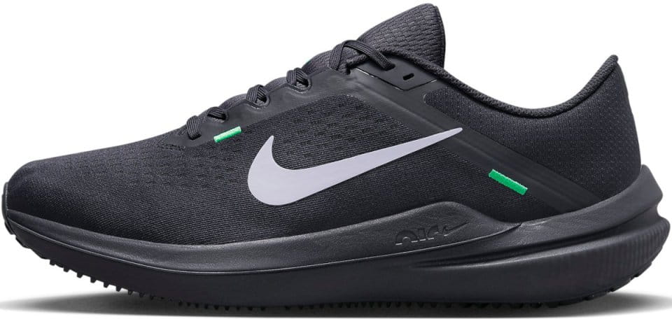 Sapatilhas de Corrida Nike Winflo 10