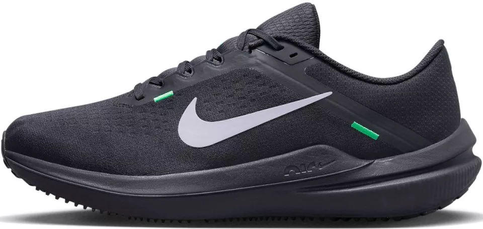 Sapatilhas de Corrida Nike Winflo 10