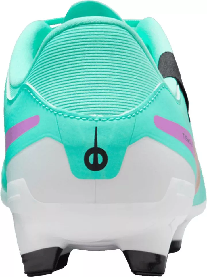 Botas de fútbol Nike LEGEND 10 ACADEMY FG/MG