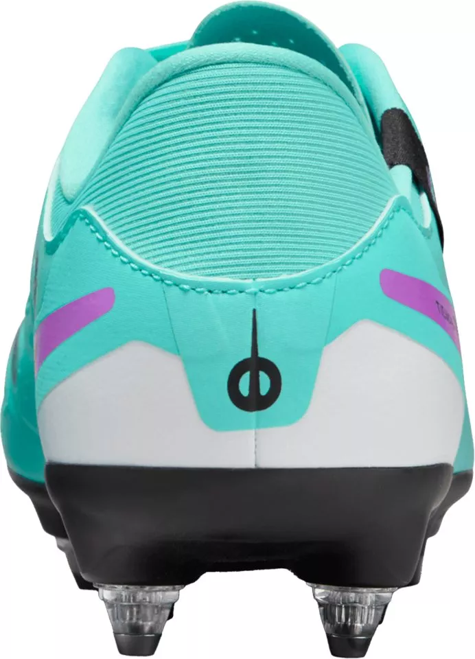 Pánské kopačky na měkký povrch Nike Legend 10 Academy SG-PRO AC