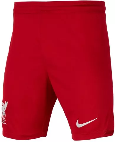 nike junior lfc y nk df stad short hm 2023 24 600375 dx2788 687 480