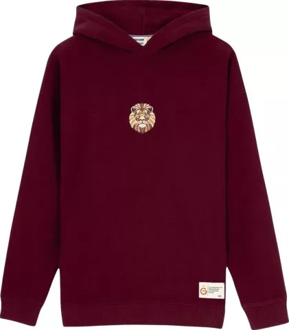 GSSTORE X Reflect Studio Lion Hoody