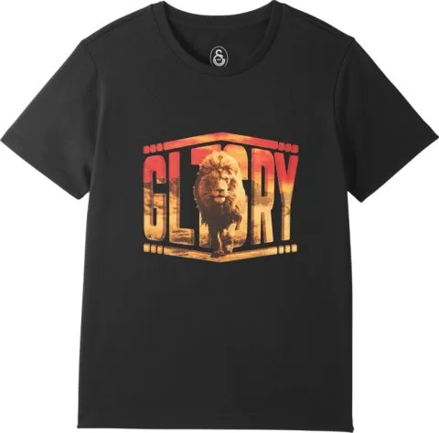 Galatasaray Istanbul T-Shirt