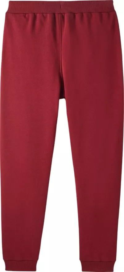 Hose Puma Galatasaray Istanbul Pant