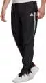 CONDIVO20 PRESENTATION PANT