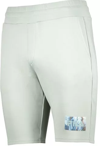 FILA CLEMSON Regular shorts F60002