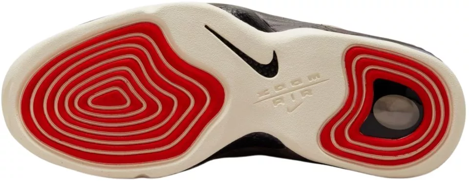Košarkarski copati Jordan AIR PENNY 2 NAS