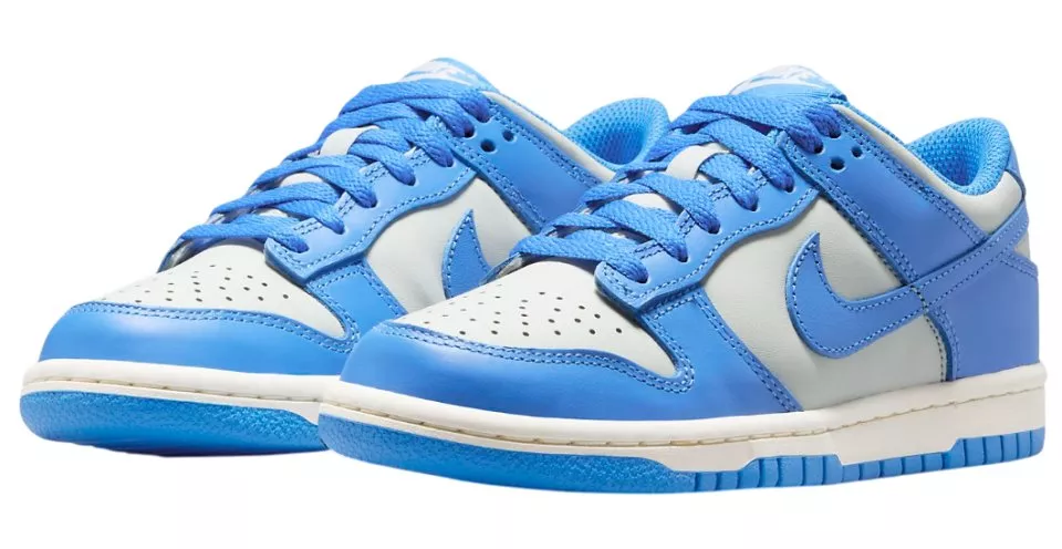 Incaltaminte Nike Dunk Low Sneaker Kids