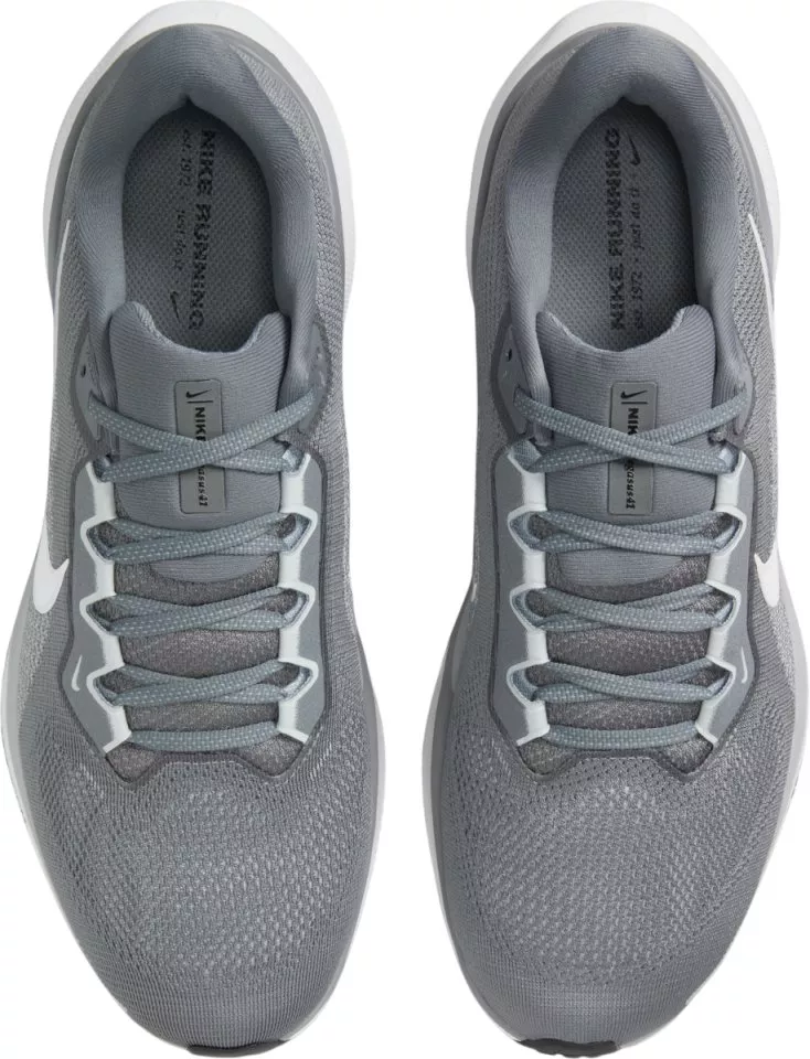 Sapatilhas de Corrida Nike Pegasus 41