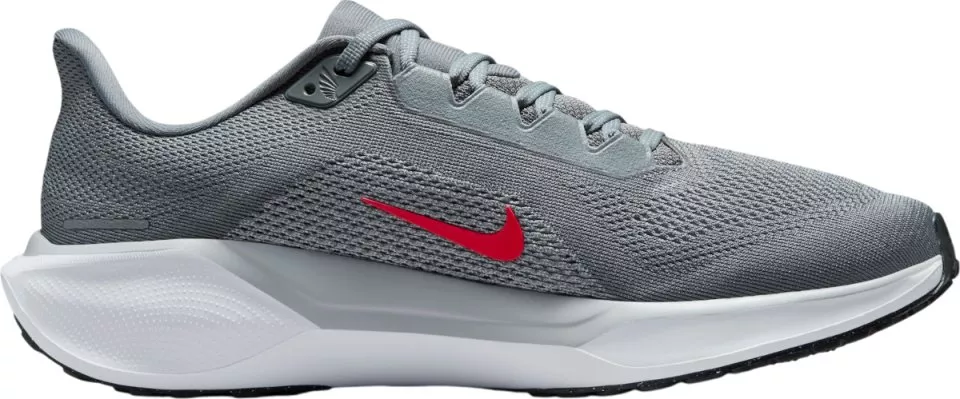 Løbesko Nike Pegasus 41