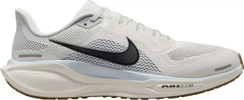 Pegasus 41