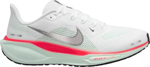 Pegasus 41