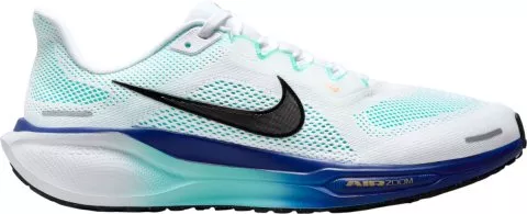 Pegasus 41