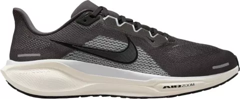 Pegasus 41