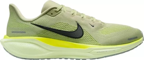 Pegasus 41