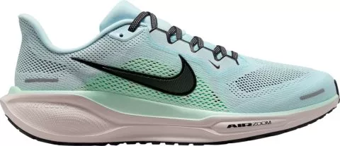 Pegasus 41