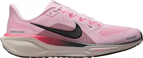 Pegasus 41