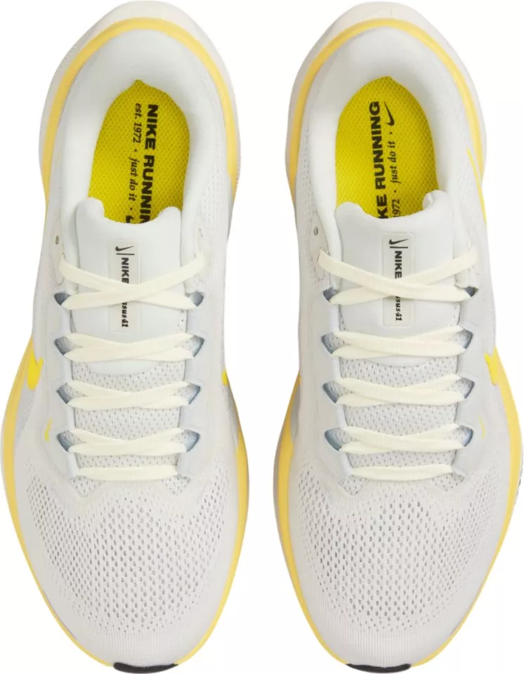 Hardloopschoen Nike Pegasus 41