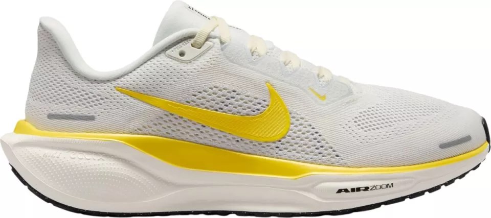 Hardloopschoen Nike Pegasus 41