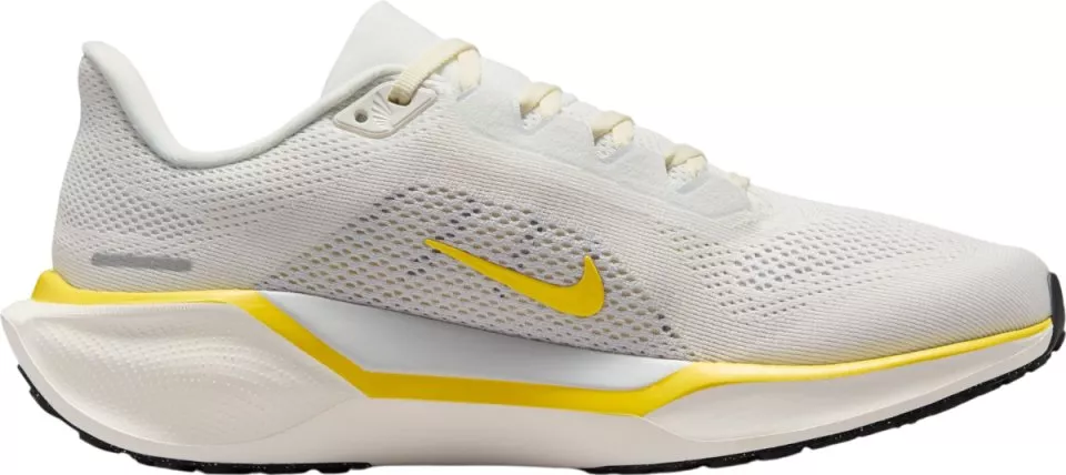 Hardloopschoen Nike Pegasus 41