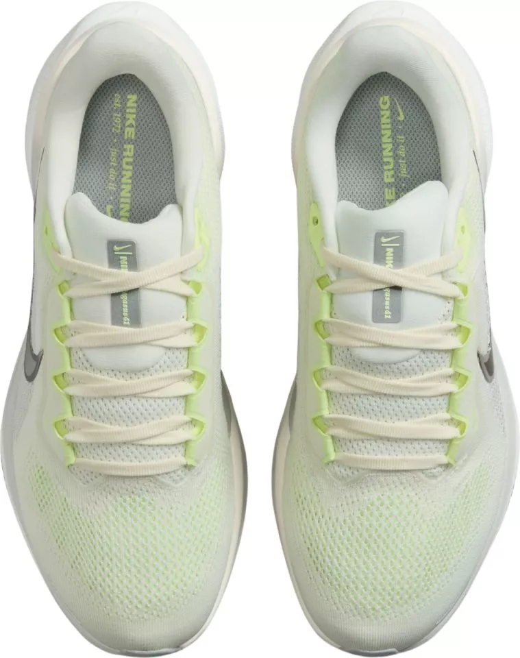 Hardloopschoen Nike Pegasus 41