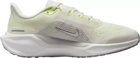 Pegasus 41