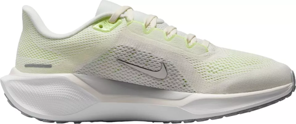 Hardloopschoen Nike Pegasus 41