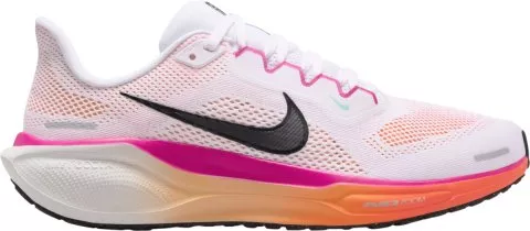 Pegasus 41