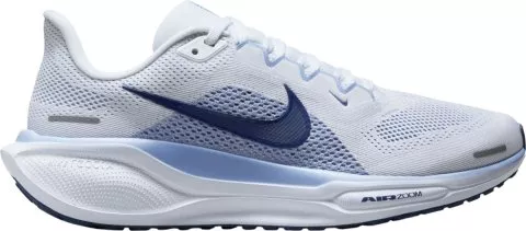 Pegasus 41
