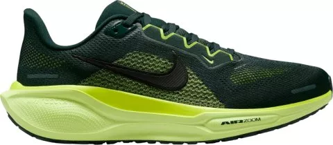 Pegasus 41