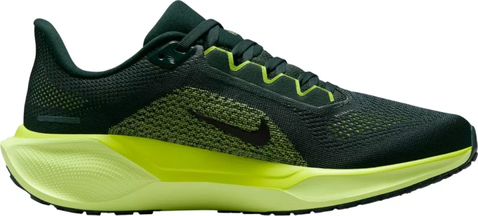 Løbesko Nike Pegasus 41