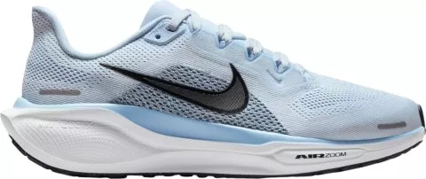 Pegasus 41