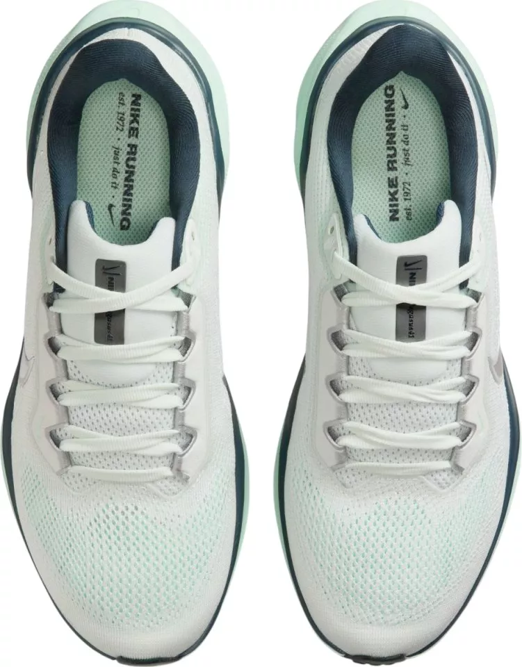 Scarpe da running Nike Pegasus 41