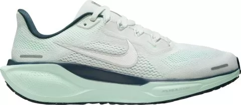 Pegasus 41
