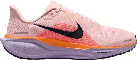Pegasus 41
