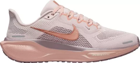 Pegasus 41