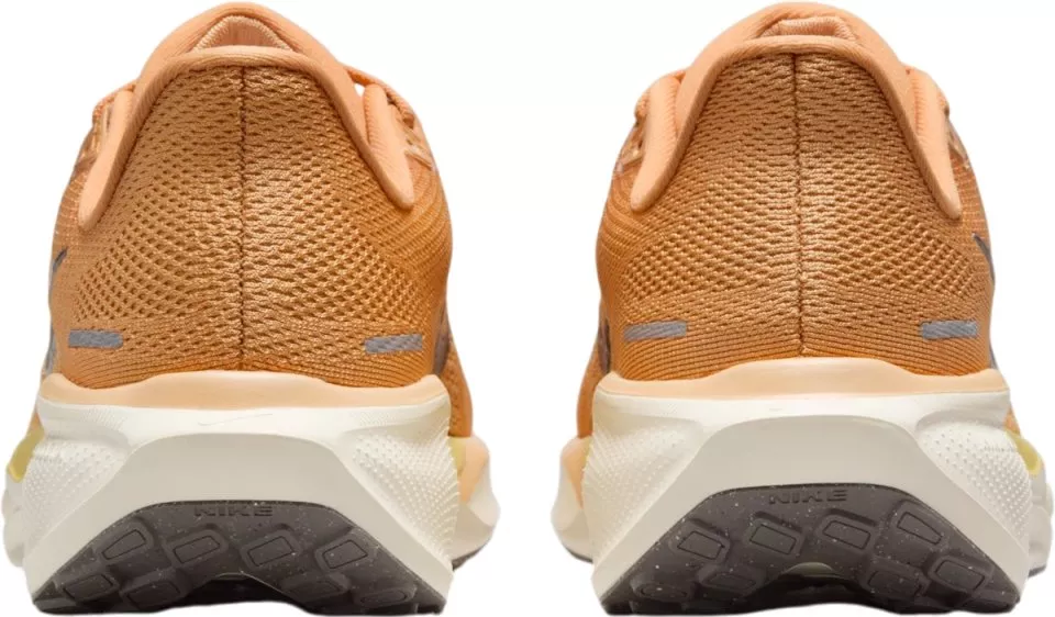 Sapatilhas de Corrida Nike Pegasus 41