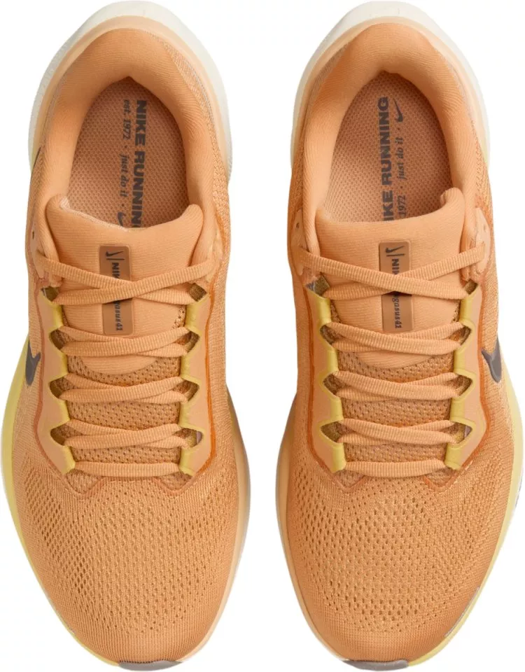 Sapatilhas de Corrida Nike Pegasus 41