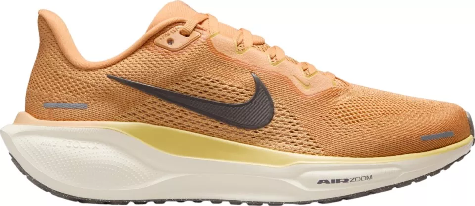 Sapatilhas de Corrida Nike Pegasus 41