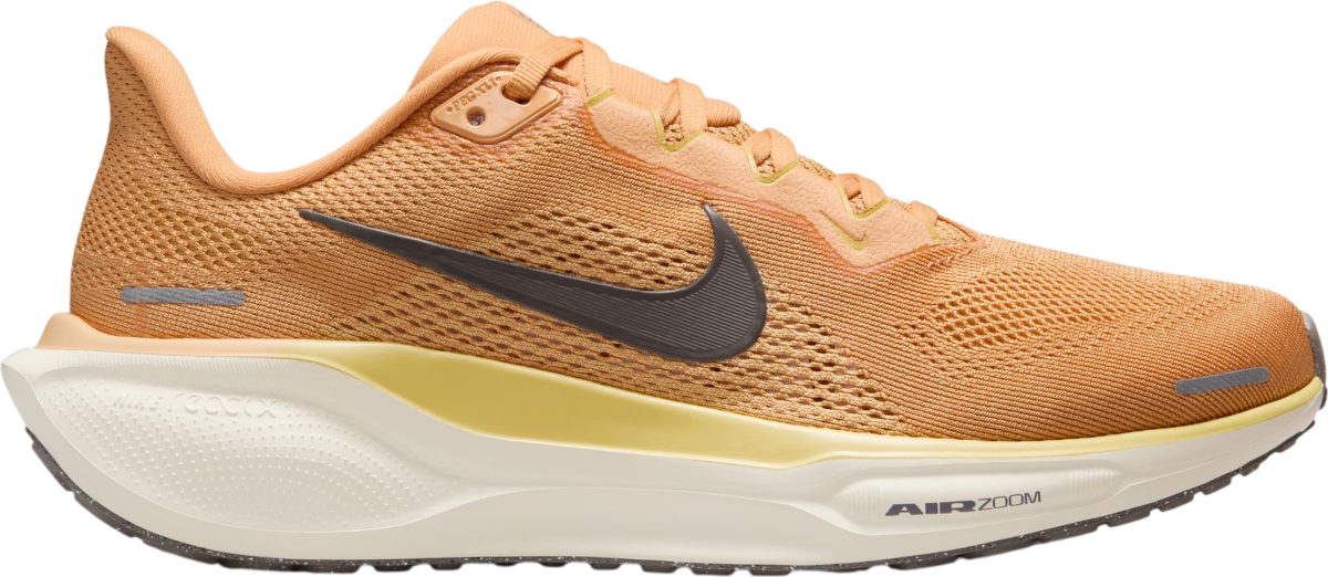 Sapatilhas de Corrida Nike Pegasus 41