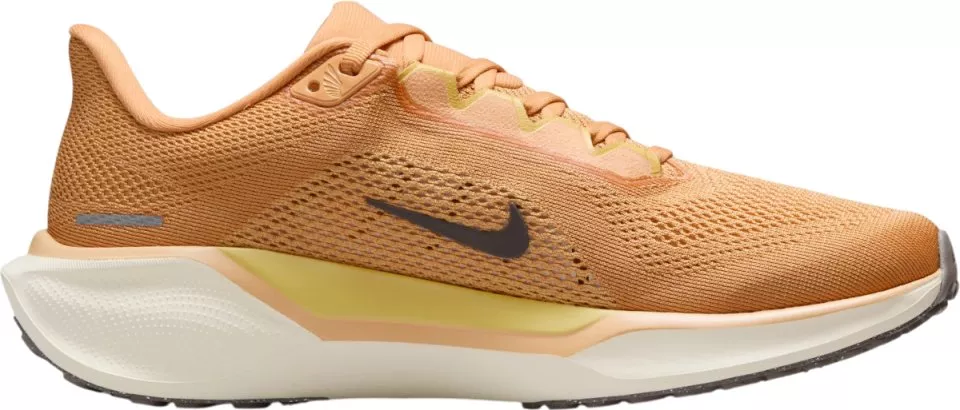 Sapatilhas de Corrida Nike Pegasus 41