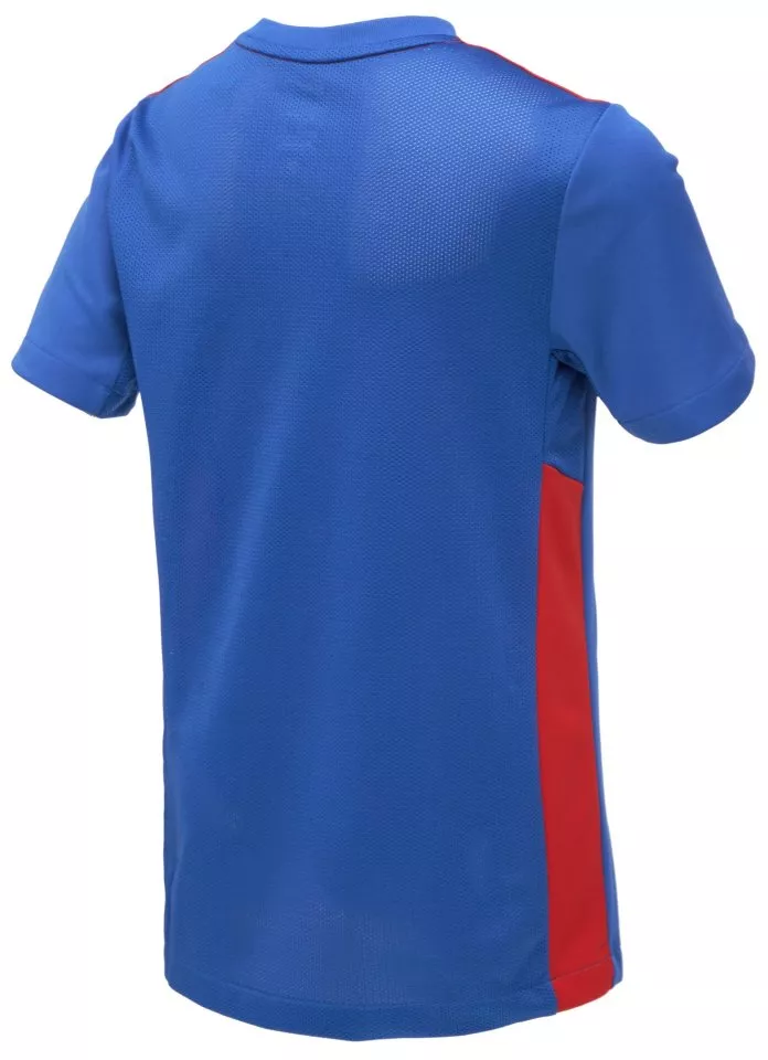 Jersey Nike Y NK DF PRK DRB IV JSY SS