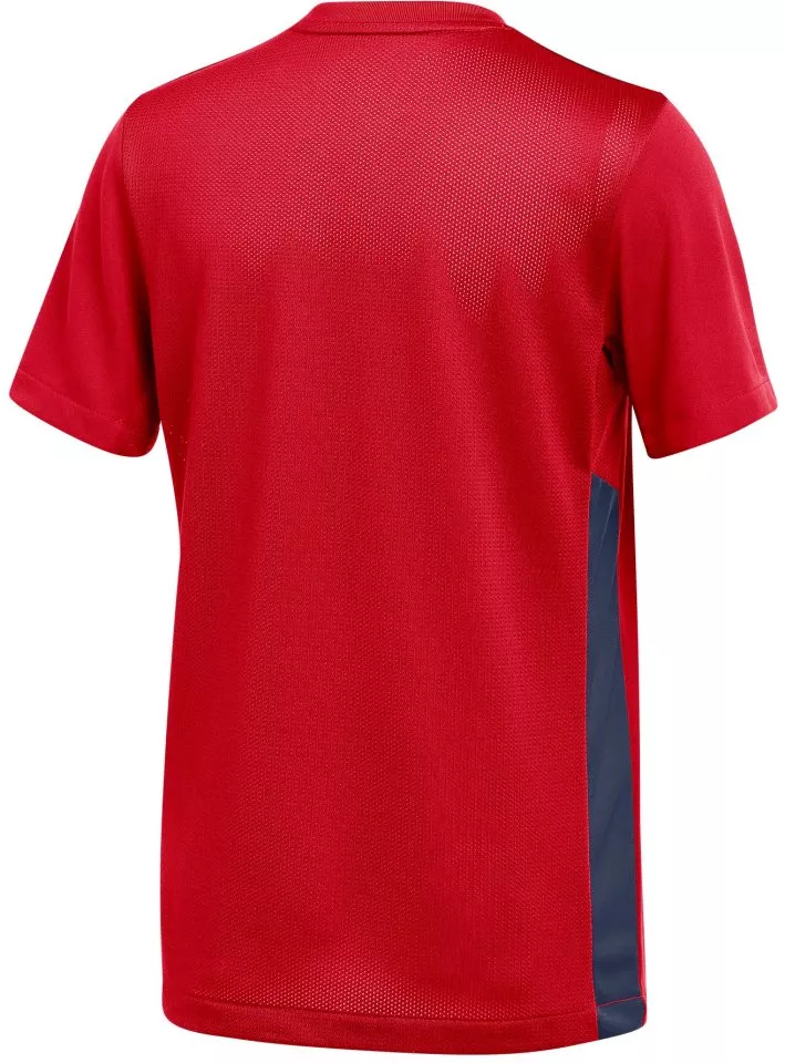 Tröja Nike Y NK DF PRK DRB IV JSY SS