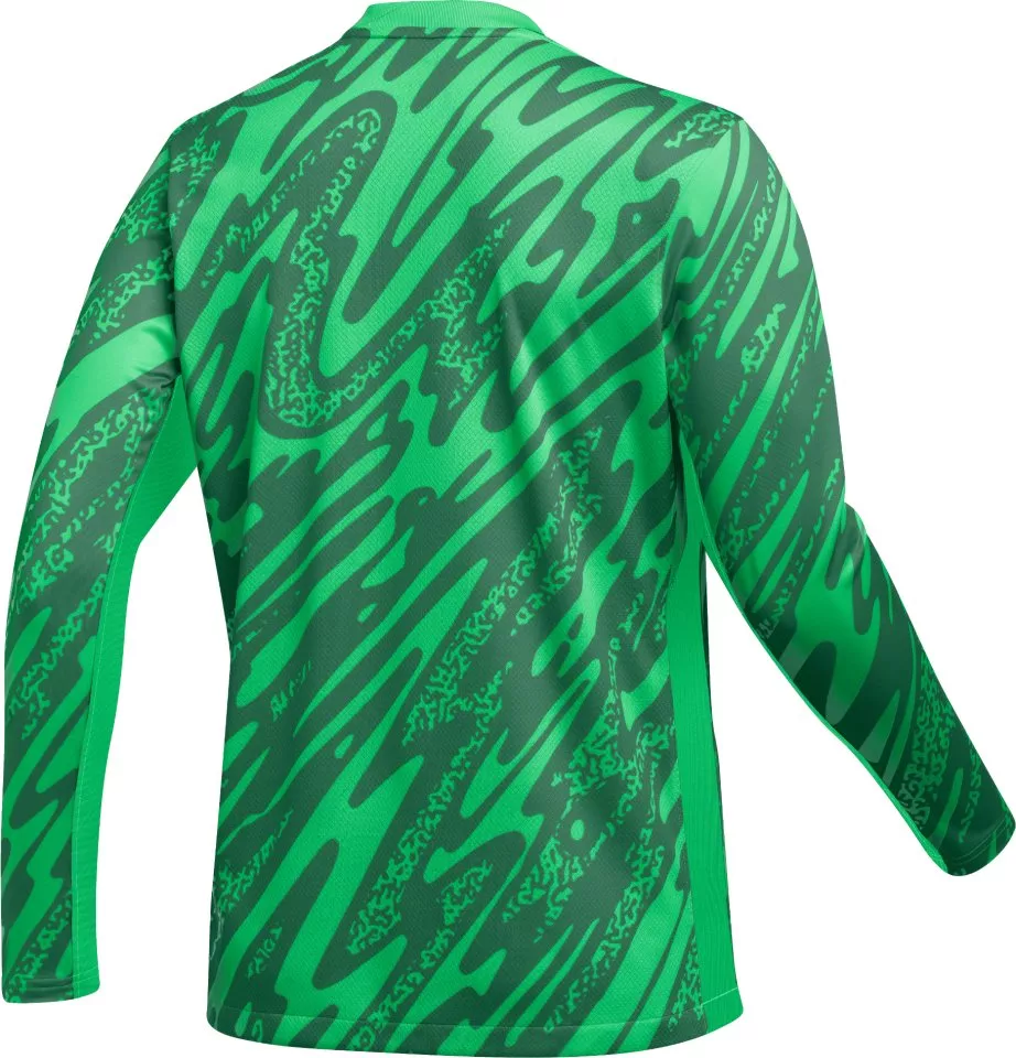 Langærmet trøje Nike Gardien V Goalkeeper Jersey Women