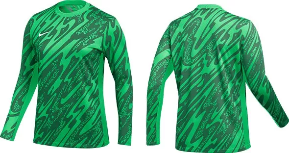 Langærmet trøje Nike Gardien V Goalkeeper Jersey Women