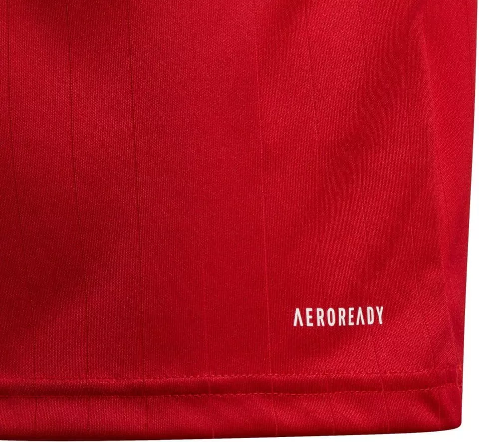 Μακρυμάνικη φανέλα adidas Y Tabela 18 Jersey LS
