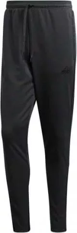 TAN TR PANT